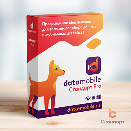 DataMobile Стандарт Pro 12 месяцев